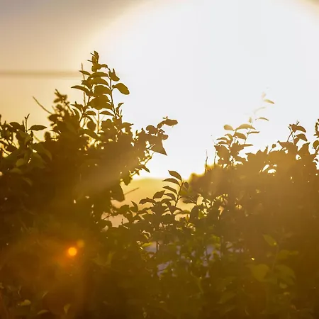 C Mykonos Mykonos Town