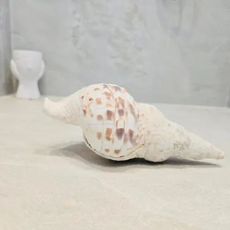 Πανσιόν C Mykonos