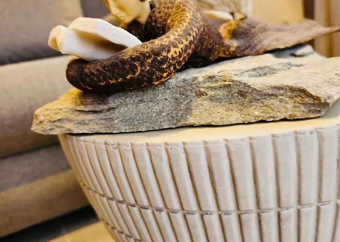 Pensionat C Mykonos Mykonos Town