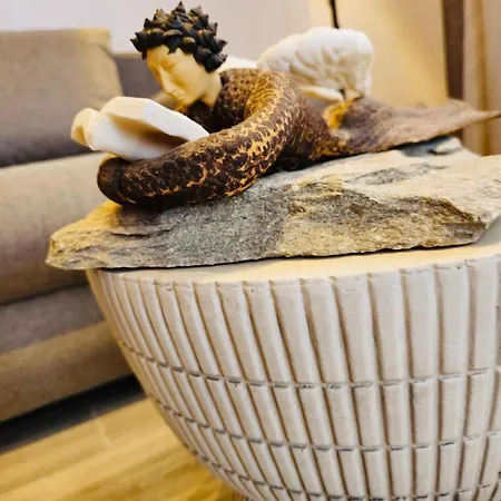 Gæstehus C Mykonos Mykonos Town