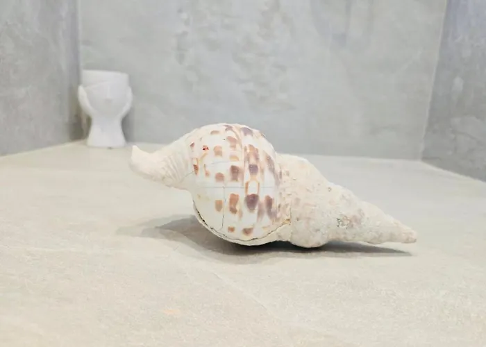 بيت ضيافة C Mykonos