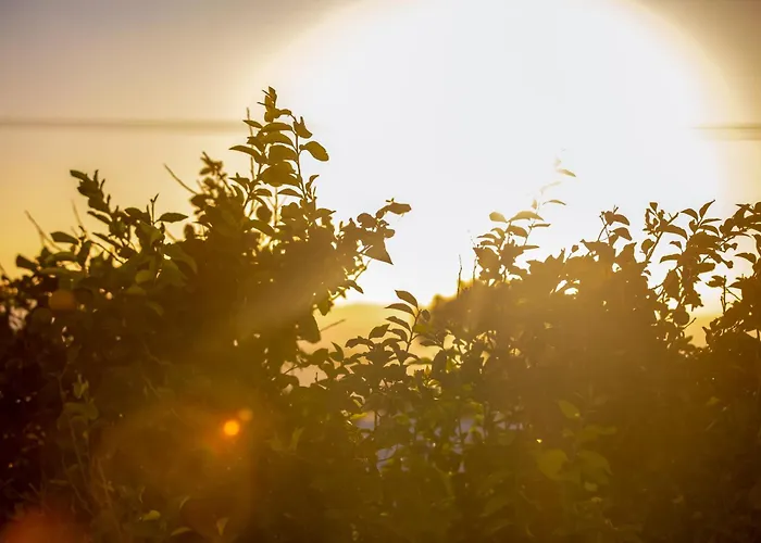 C Mykonos Mykonos Town